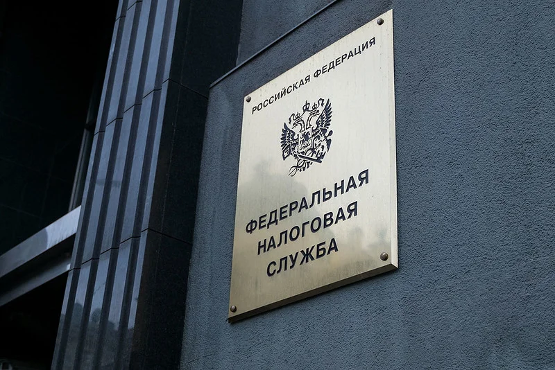 Банкротство с долгами по налогам: как списать долг, если ФНС против